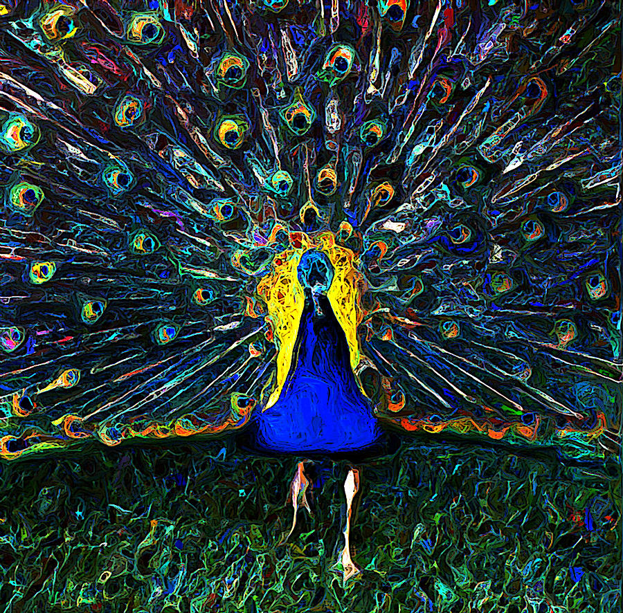 Walking Peacock Photograph by Carl Cox