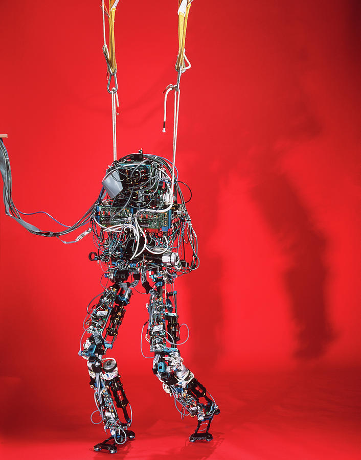 Walking Robot Photograph by Peter Menzel/science Photo Library