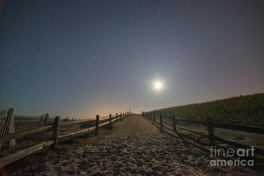 Walking The Beach Under The Moonlight Photograph by Michael Ver Sprill
