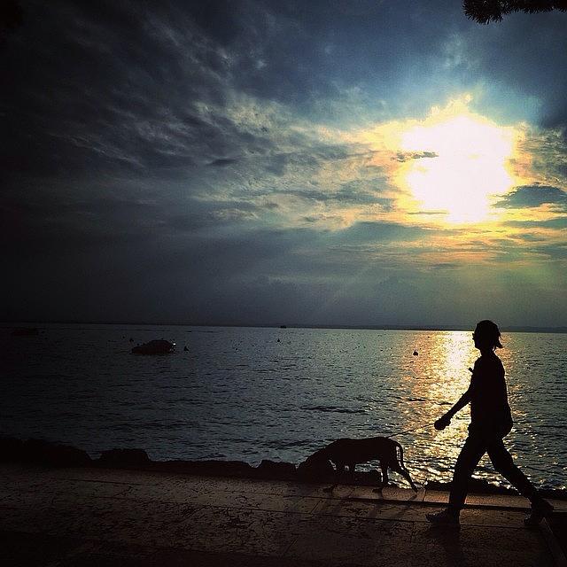 Sunset Photograph - Walking The Dog by Faye Sanna