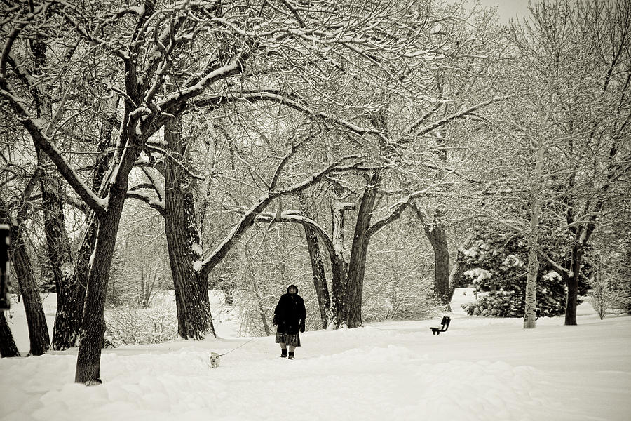 Walking the Dog in a Winter Wonderland Photograph by James BO Insogna