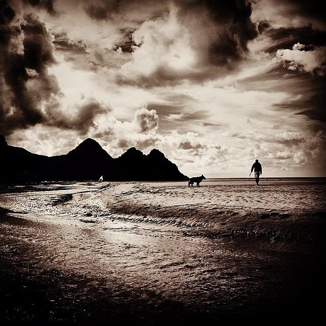 Walking The Dog, Three Cliffs Bay Photograph by Michael Creedon