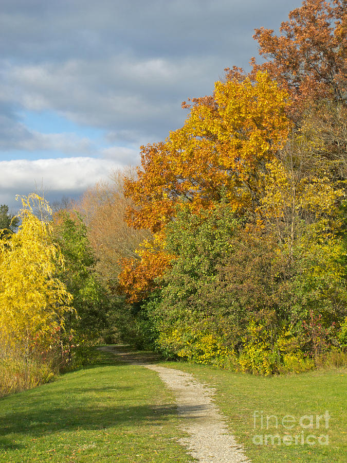 Walking Through Autumn Photograph by Ann Horn