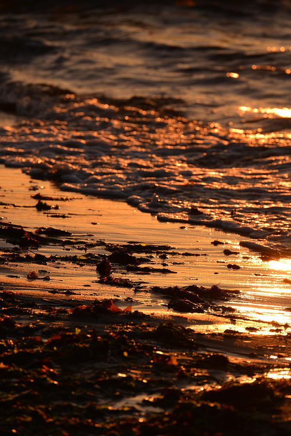 Walking Through Sunset Toward North Beach Photograph by Ronda Broatch