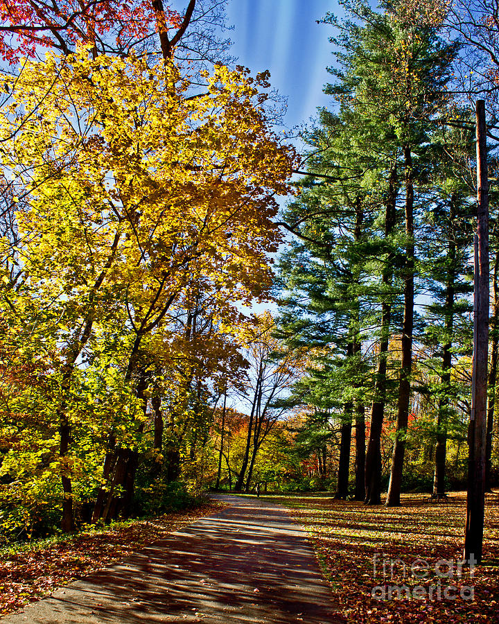 Walking Thru Fall Photograph by Tom Gari Gallery-Three-Photography ...