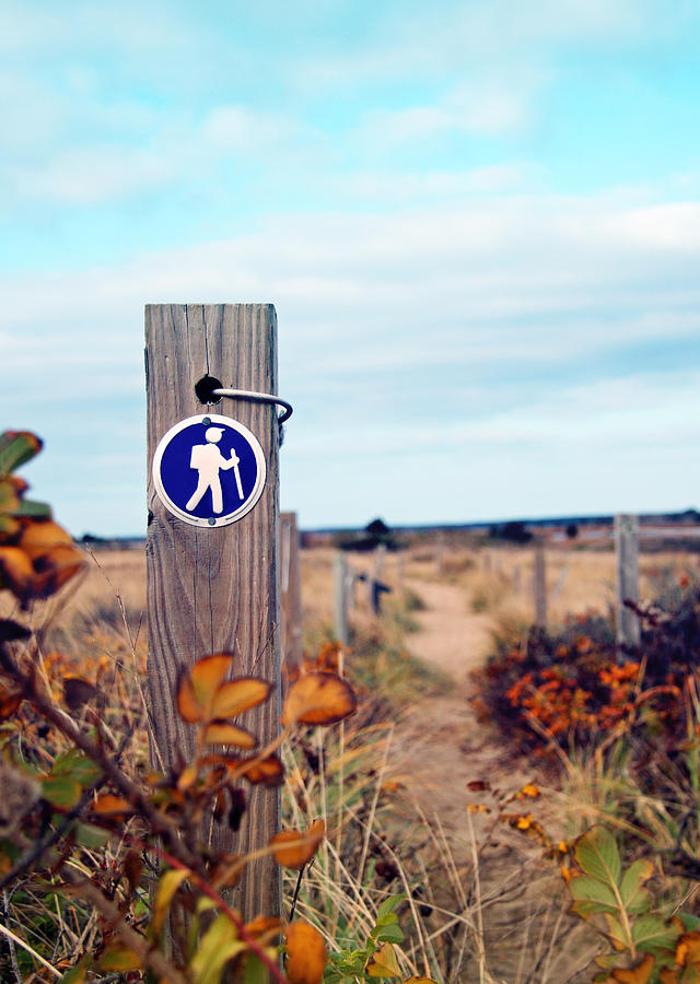 Walking Trail by the Sea Photograph by Brooke T Ryan