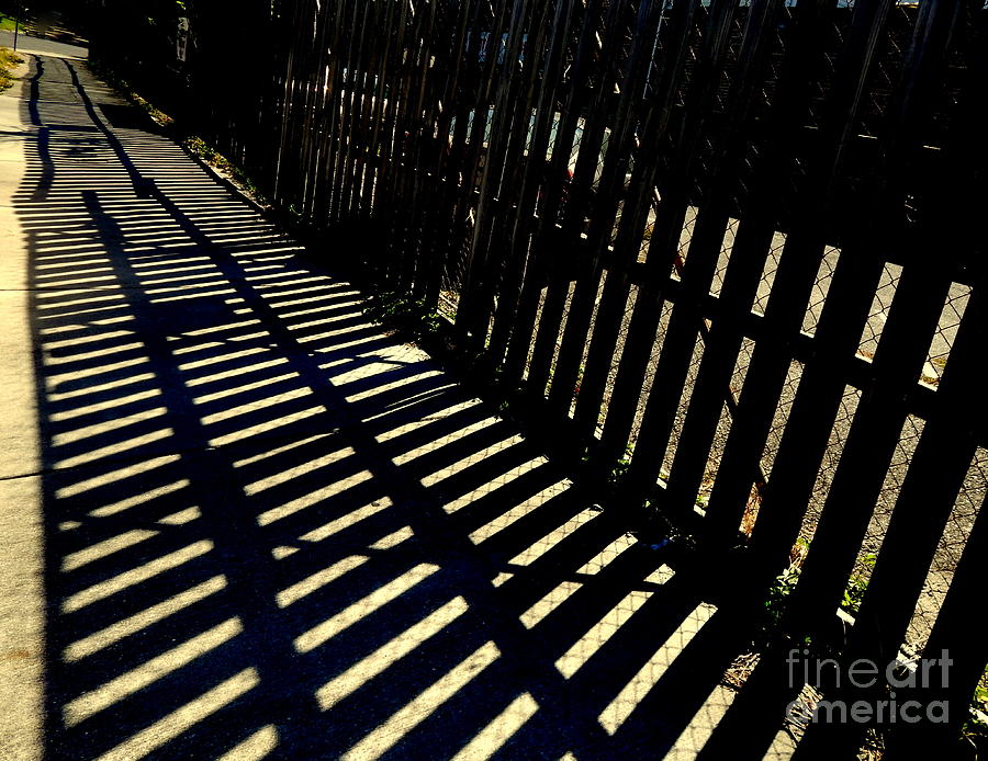 Car Photograph - Walking Upon The Shadow Tracks Stop by Michael Hoard