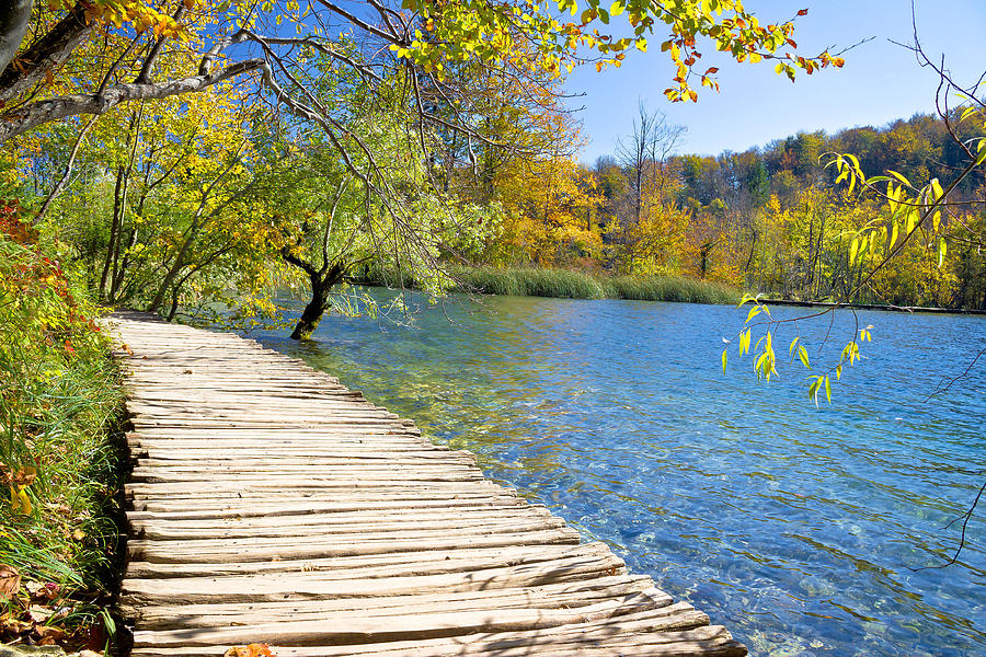 Walkway in paradise of Plitvice lakes Photograph by Brch Photography