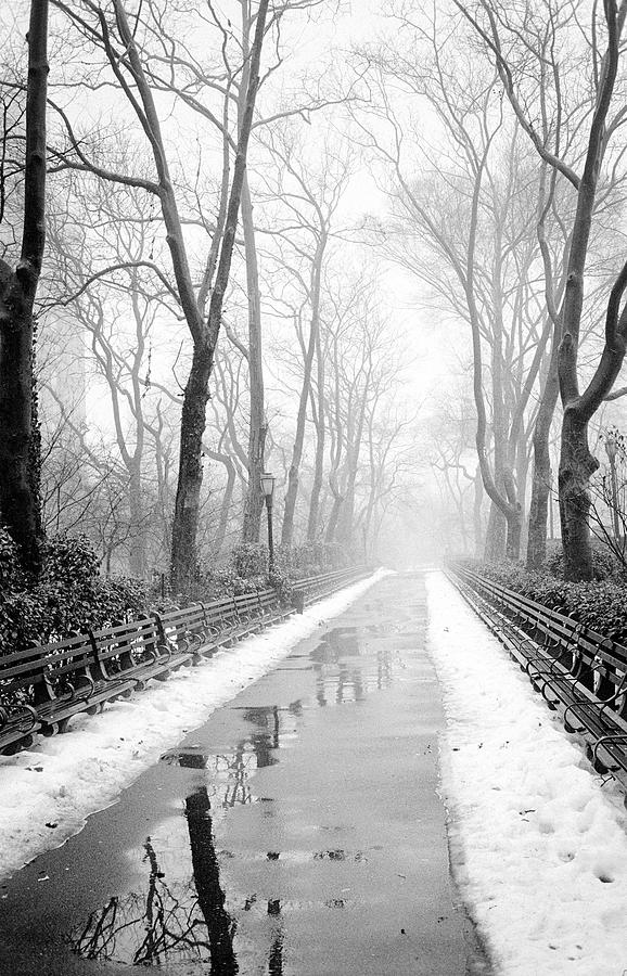 Walkway Snow And Fog Nyc Photograph