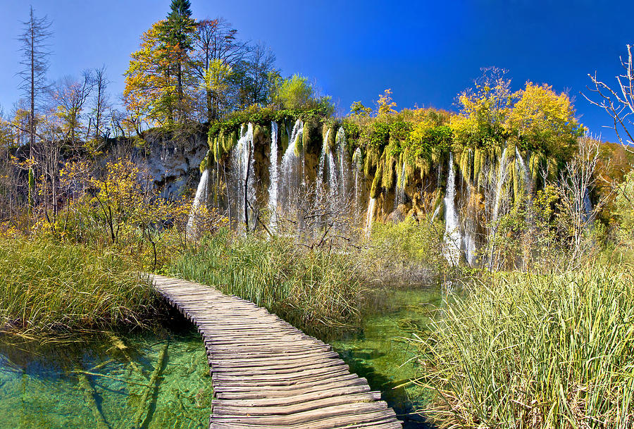 Walkway through paradise in Plitvice lakes Photograph by Brch Photography