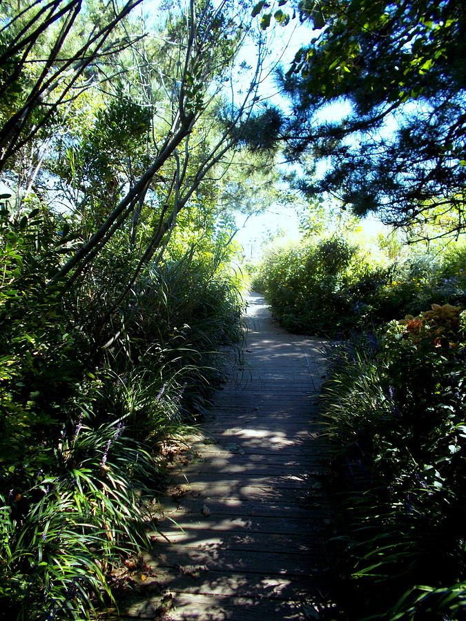 Walkway Through The Gardens at Hereford Lighthouse Photograph by Pamela Hyde Wilson