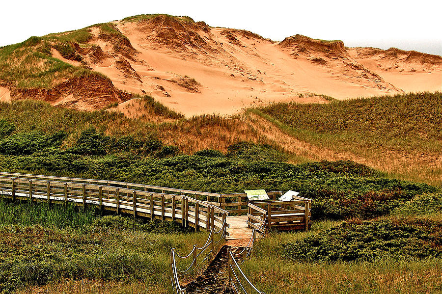 Walkway to Cavendish Beach in PEI National Park,  Prince Edward Island, Canada Photograph by Ruth Hager