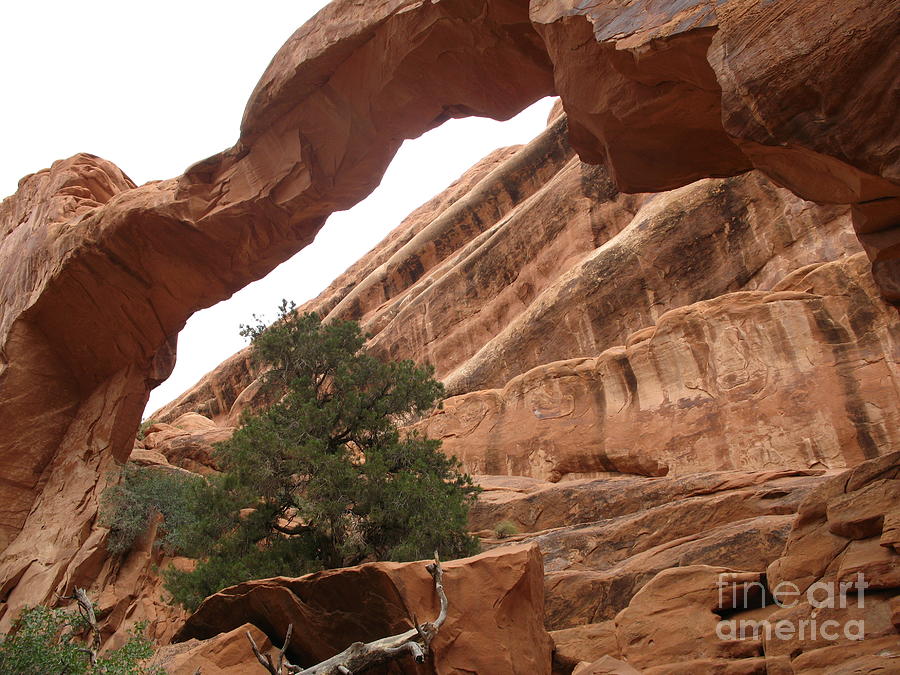 collapse of landscape arch collapse of landscape arch
