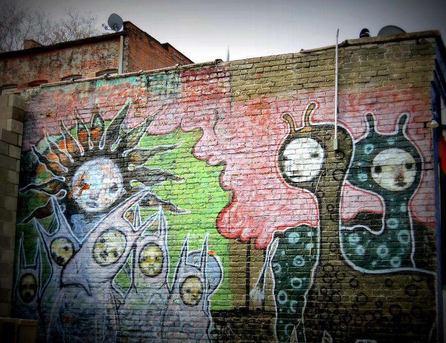 Wall Art in Cleveland Photograph by Patricia Januszkiewicz