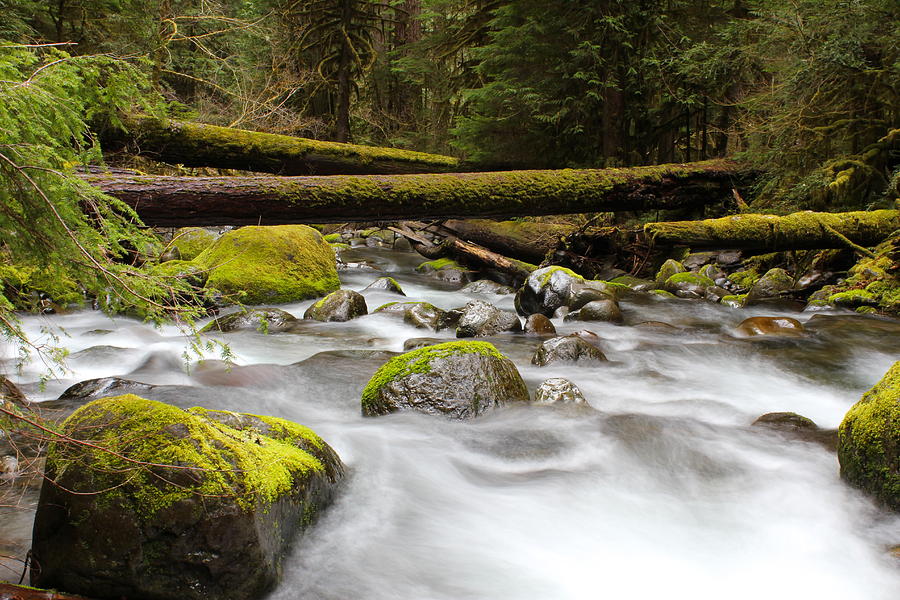 Wall Creek Falling Photograph by Tim Rice | Fine Art America