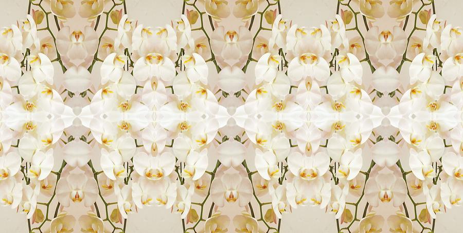 Flower Photograph - Wall of Orchids II Panorama by Paul Ashby