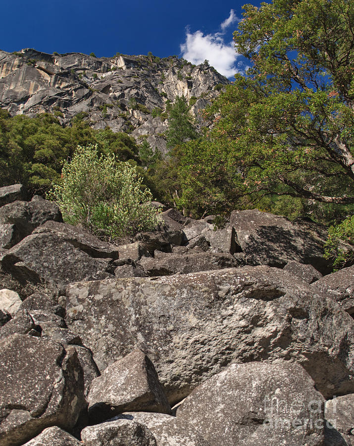 Yosemite National Park Photograph - Wall of Rock by Charles Kozierok