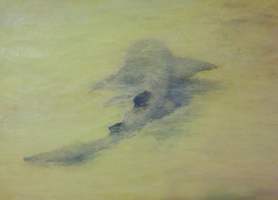 Animal Painting - Wall Shark by DeftShark Art