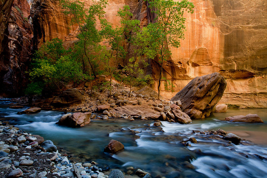 Wall Street along The Zion Narrows Photograph by Dave Peterman - Fine ...