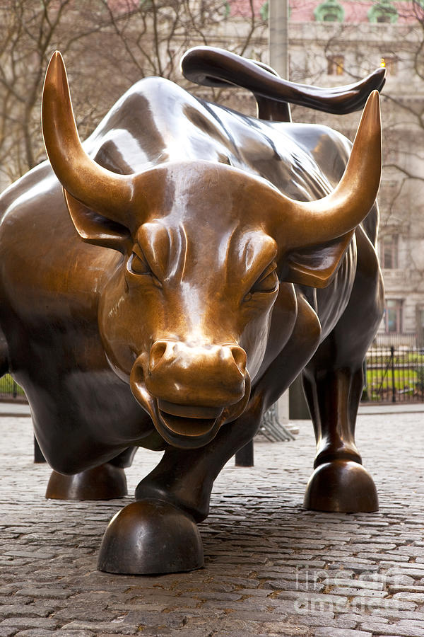 New York City Photograph - Wall Street Bull by Brian Jannsen