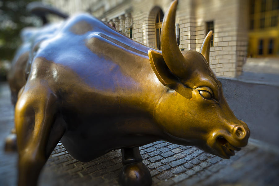 Bull Photograph - Wall Street Bull Market by Garry Gay