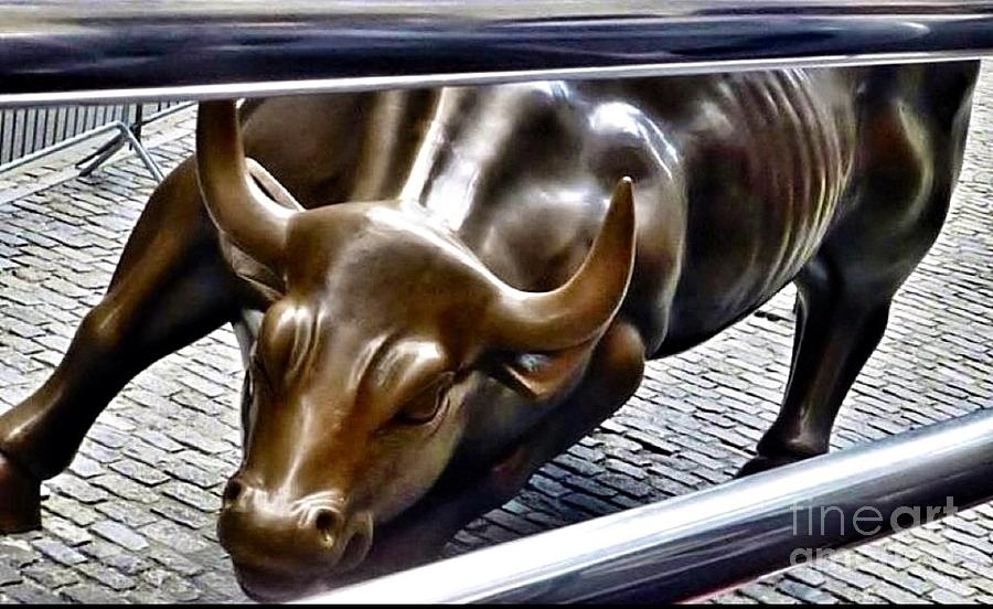 Wall Street Bull Statue Photograph by Susan Garren