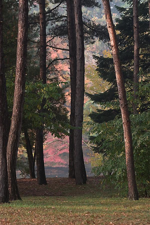 Wallace Lake Berea Ohio Fall colors Photograph by John Harmon