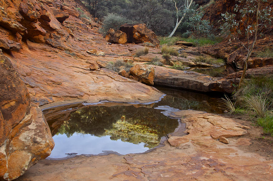 Wallace Rock Hole Australia Photograph by Venetia Featherstone-Witty