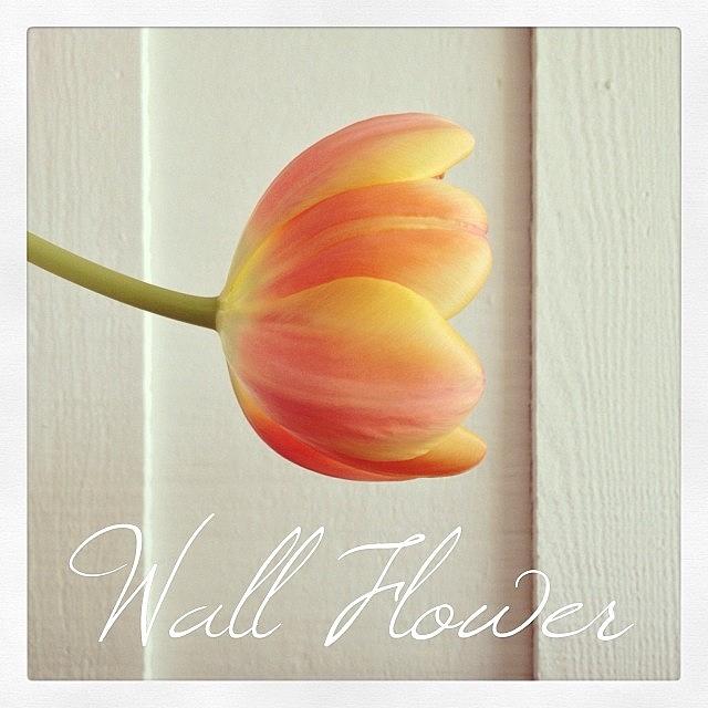 Wallflower Photograph - #wallflower #bestofovergram by Mike Valentine