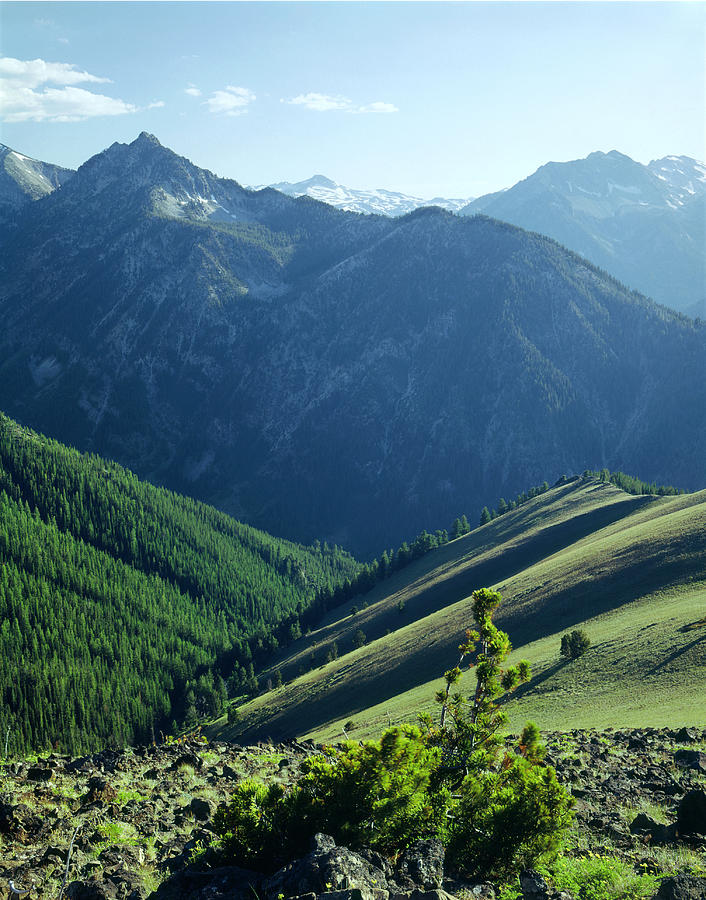 1M5903-Wallowa Mountains and Valley of the East Fork Photograph by Ed  Cooper Photography