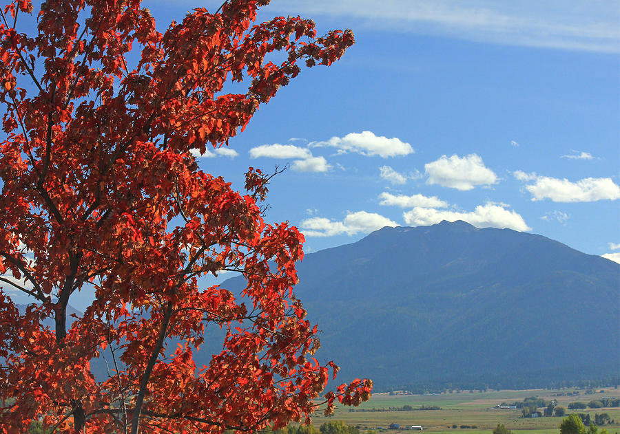 DN5930-Wallowa Valley in Fall Photograph by Ed  Cooper Photography