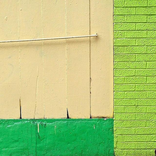 Yellow Green Color Block Photograph by Julie Gebhardt