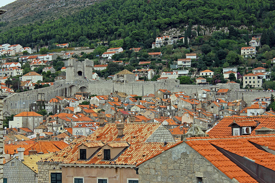 Walls of Dubrovnik Photograph by Tony Murtagh