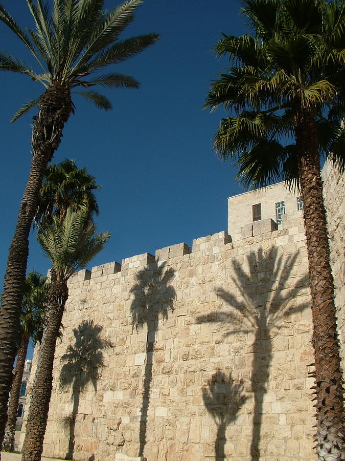 Walls of Jerusalem with palm tree shadows Photograph by Rita Adams