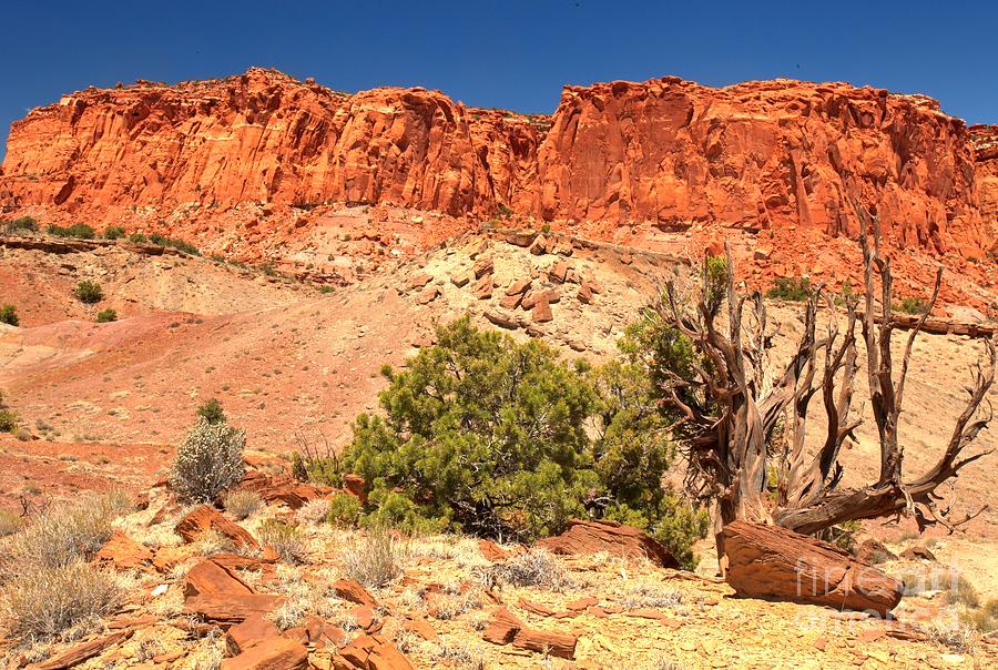 Capitol Reef National Park Photograph - Walls Of The Waterpocket by Adam Jewell