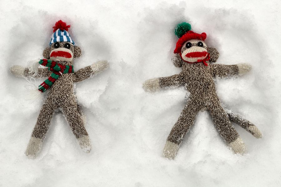 Wally and Petey Snow Angels Photograph by Jennifer Wheatley Wolf