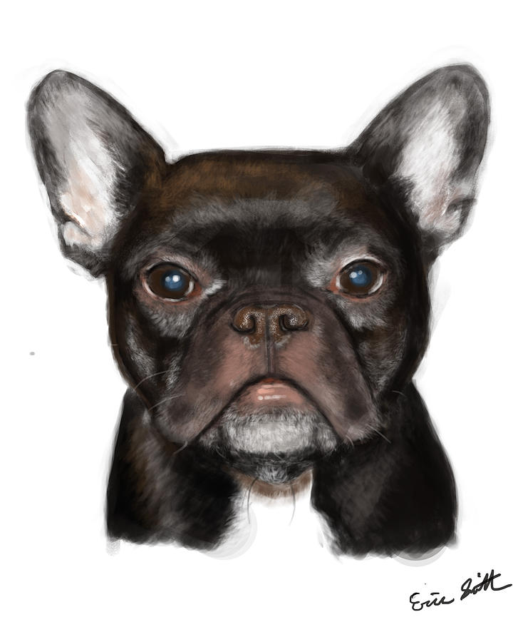 French Bulldog Digital Art - Wally by Eric Smith
