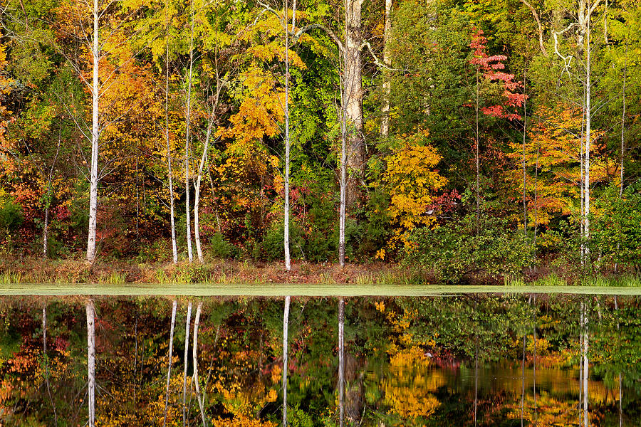 Walnut Creek Lake Autumn Reflection Photograph by Nathaniel Kidd - Fine ...