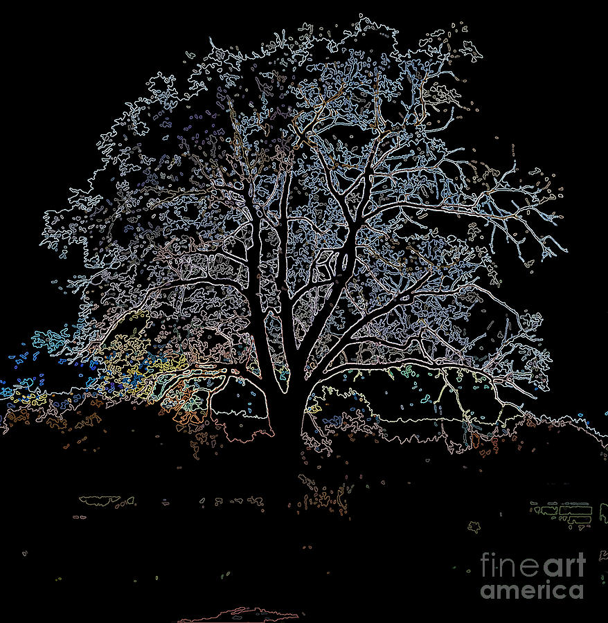Walnut Tree Series Glowing Edges Digital Art by Conni Schaftenaar