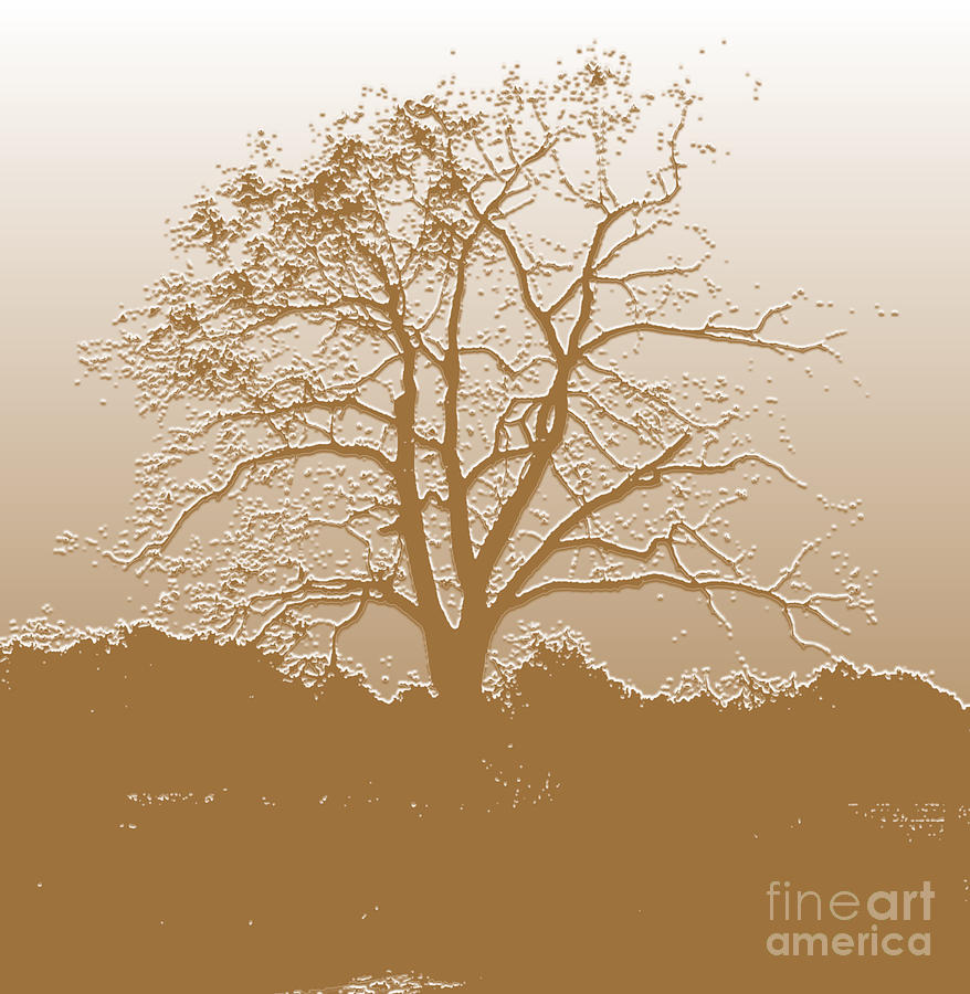 Walnut Tree Series Plaster Golden Digital Art by Conni Schaftenaar