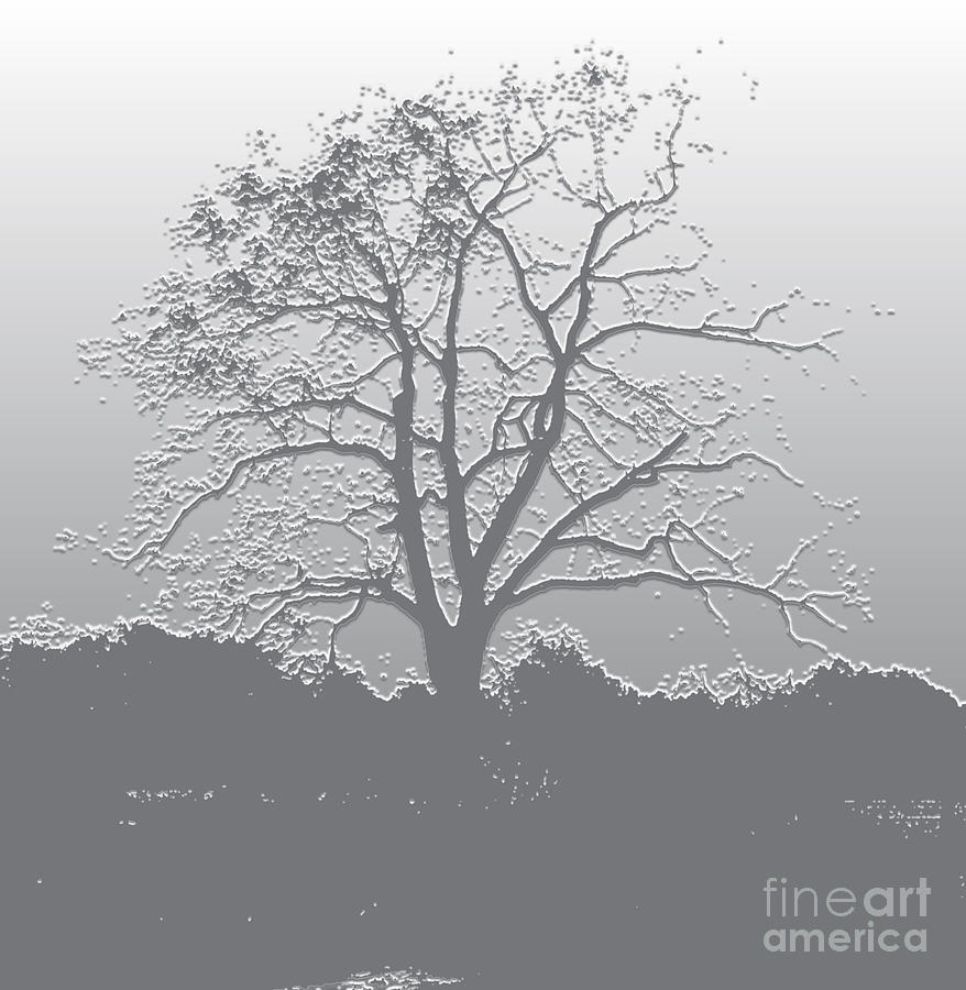 Walnut Tree Series Plaster Silver Digital Art by Conni Schaftenaar