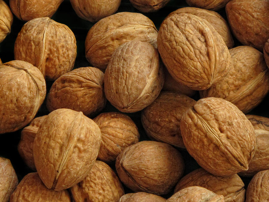 Walnuts Photograph by Dave Mills