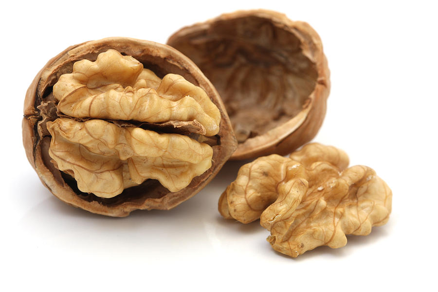 Walnuts Isolated on White Background Photograph by KevinDyer