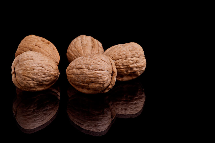 Walnuts Photograph by Marek Poplawski
