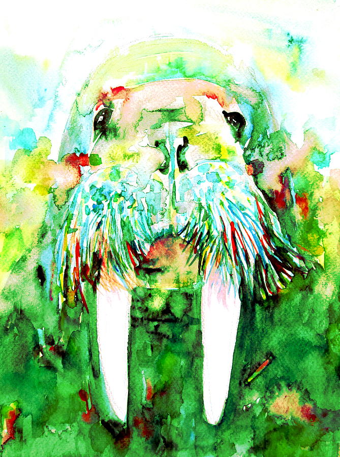 Walrus  Painting by Fabrizio Cassetta