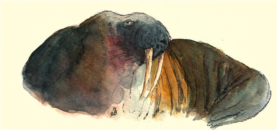 Wildlife Painting - Walrus by Juan  Bosco