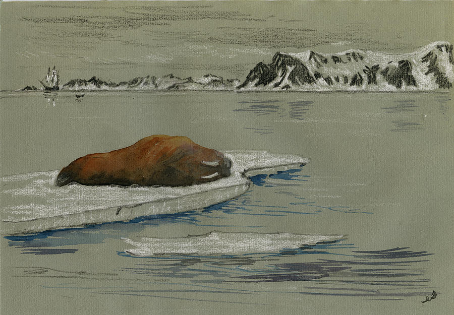 Wildlife Painting - Walrus on the iceberg by Juan  Bosco