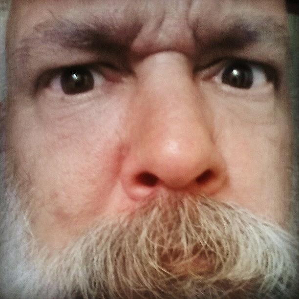 Beards Photograph - #walrusstache #beardedgents by Gary W Norman