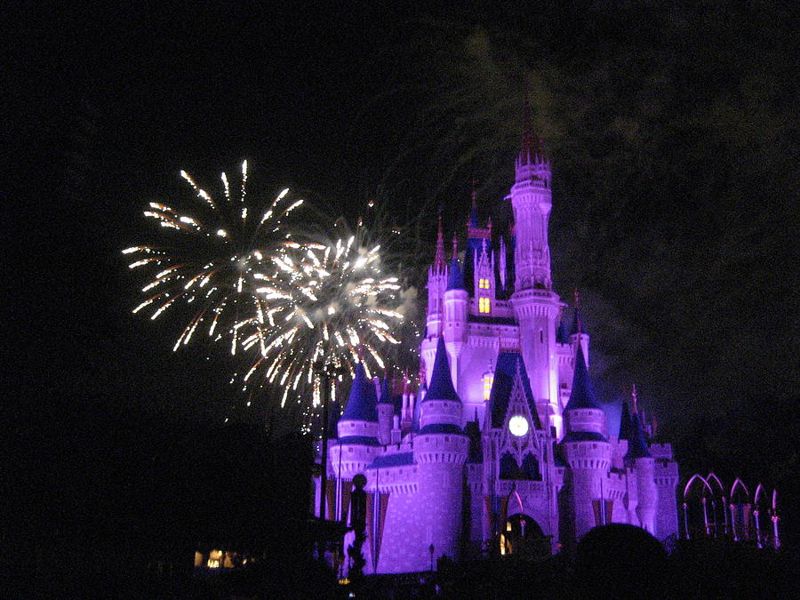 Orlando Photograph - Walt Disney World Resort - Magic Kingdom - 121235 by DC Photographer