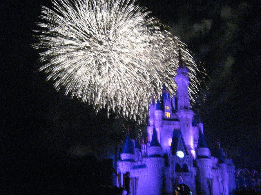 Walt Disney World Resort - Magic Kingdom - 121280 Photograph by DC Photographer